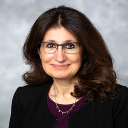 Yesim Gokmen-Polar